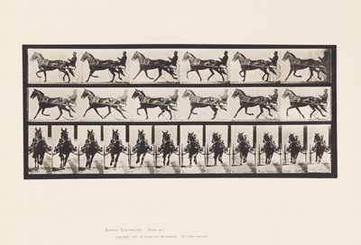 Tafel 595. Schaukelnd (Passgang): Sulky; Braunes Pferd Pronto von Eadweard Muybridge