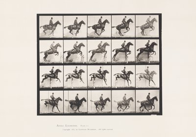 Tafel 640. Ein Hindernis überspringen; Sattel; Braunes Pferd Daisy von Eadweard Muybridge