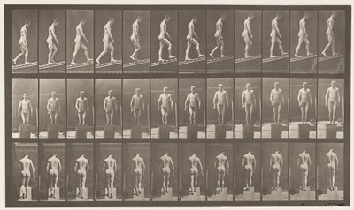 Tafel 74. Steigung hinaufsteigen, Winkel 1 zu 4 von Eadweard Muybridge