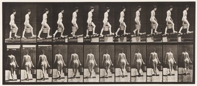 Tafel 83. Steigung hinaufsteigen, Eimer Wasser in der rechten Hand von Eadweard Muybridge
