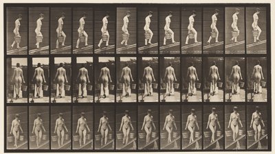 Tafel 87. Abwärts geneigt, Eimer Wasser in jeder Hand von Eadweard Muybridge