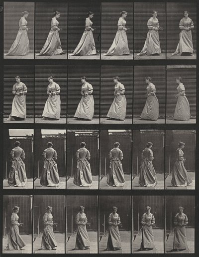 Tafel Nummer 48. Gehen und sich mit einem Blumenstrauß in beiden Händen umdrehen von Eadweard Muybridge