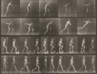 Tafel Nummer 519. A: Werfen einer Scheibe. B: Hinaufsteigen auf eine Stufe. C: Gehen von Eadweard Muybridge