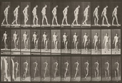 Tafel Nummer 559. Teilweise Paraplegie, Gehen mit Stock von Eadweard Muybridge