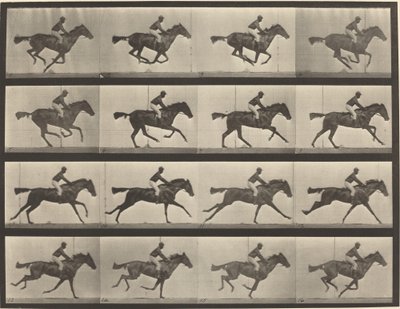 Platte Nummer 626. Galopp, Vollblut-Braune Stute, Annie G. von Eadweard Muybridge