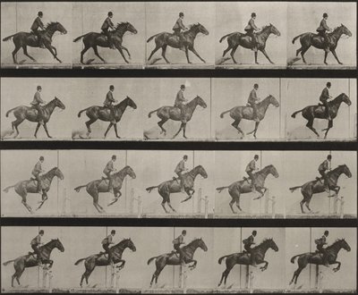 Tafel Nummer 636. „Daisy“ springt gesattelt über ein Hindernis und bereitet sich auf den Sprung vor von Eadweard Muybridge