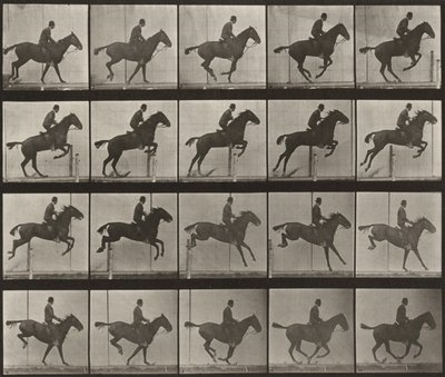 Tafel Nummer 639. "Daisy" springt über ein Hindernis, gesattelt von Eadweard Muybridge