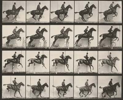 Tafel Nummer 640. „Daisy“ springt gesattelt über ein Hindernis von Eadweard Muybridge