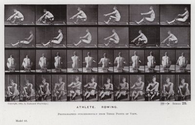 Die menschliche Figur in Bewegung: Athlet, rudernd von Eadweard Muybridge
