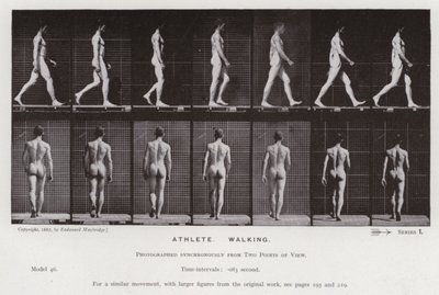 Die menschliche Figur in Bewegung: Athlet, gehend von Eadweard Muybridge
