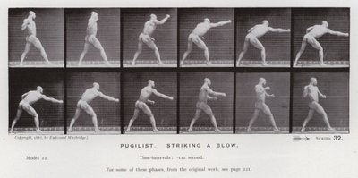 Die menschliche Figur in Bewegung: Boxer, Einen Schlag ausführend von Eadweard Muybridge