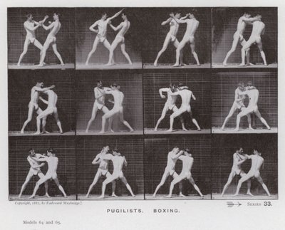 Die menschliche Figur in Bewegung: Boxer von Eadweard Muybridge