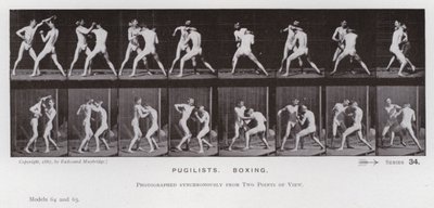Die menschliche Figur in Bewegung: Boxer, Boxen von Eadweard Muybridge