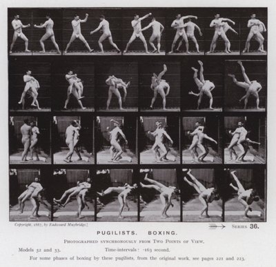 Die menschliche Figur in Bewegung: Boxer, Boxen von Eadweard Muybridge