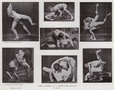 Die menschliche Figur in Bewegung: Einige Phasen in einem Wrestling-Match von Eadweard Muybridge