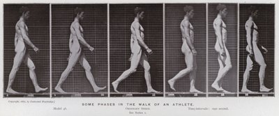 Die menschliche Figur in Bewegung: Einige Phasen im Gehen eines Athleten von Eadweard Muybridge