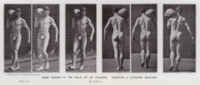 Die menschliche Figur in Bewegung: Einige Phasen im Gang eines Athleten, der einen 75-Pfund-Felsbrocken trägt von Eadweard Muybridge