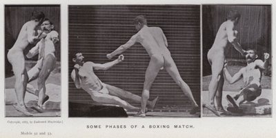 Die menschliche Figur in Bewegung: Einige Phasen eines Boxkampfes von Eadweard Muybridge