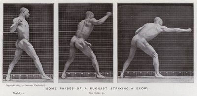 Die menschliche Figur in Bewegung: Einige Phasen eines Faustkämpfers, der einen Schlag ausführt von Eadweard Muybridge