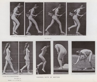 Die menschliche Figur in Bewegung: Verschiedene Bewegungsakte von Eadweard Muybridge