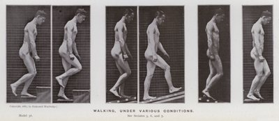 Die menschliche Figur in Bewegung: Gehen unter verschiedenen Bedingungen von Eadweard Muybridge