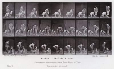 Die menschliche Figur in Bewegung: Frau, füttert einen Hund von Eadweard Muybridge