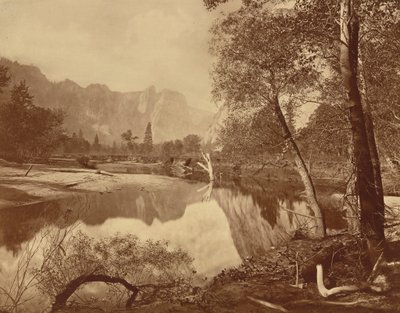 Tal des Yosemite vom Mosquito Camp, Nr. 22 von Eadweard Muybridge
