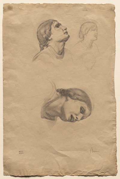 Vier Studien des Kopfes einer jungen Italienerin von Edgar Degas