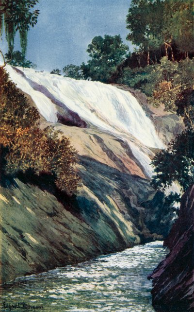 Ein Wasserfall in Tijuca, Rio von Edgar L. Pattison