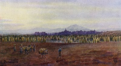 Nordspanien: Benavente, von der Brücke von Castro Gonzalo von Edgar T. A. Wigram