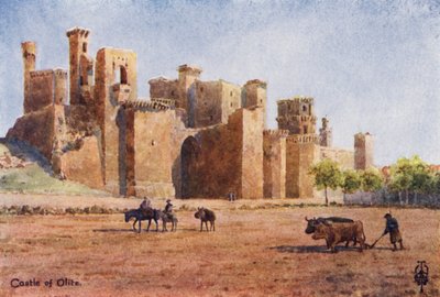 Nordspanien: Olite, Die Burg von Edgar T. A. Wigram