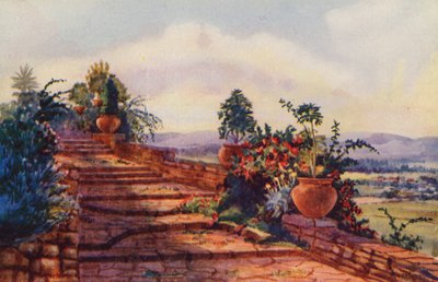 Die Stufen am Regierungshaus, Pretoria von Edith Struben