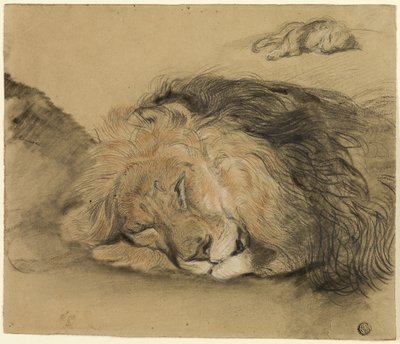 Löwenkopf und Skizze eines Löwen von Edme Charles Saint Marcel