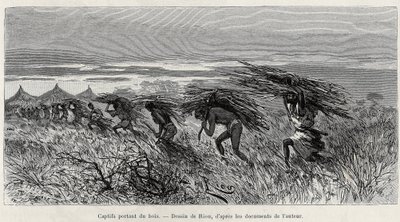Gefangene tragen Holz im Busch. Gravur von Riou zur Illustration der Geschichte From Niger to the Gulf of Guinee von Edouard Riou