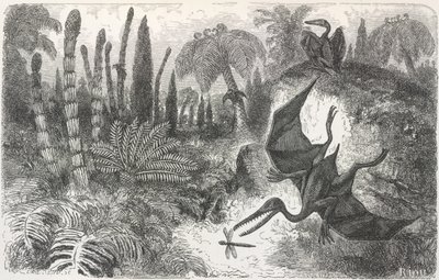 Landschaft der Lias-Zeit. Illustration eines Pterodaktylus von Edouard Riou