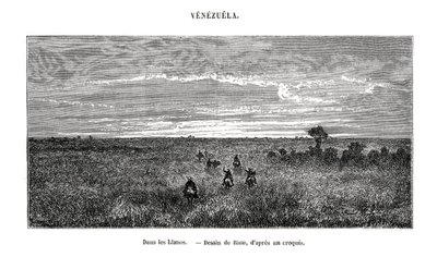 Los Llanos, Venezuela, 19. Jahrhundert von Edouard Riou