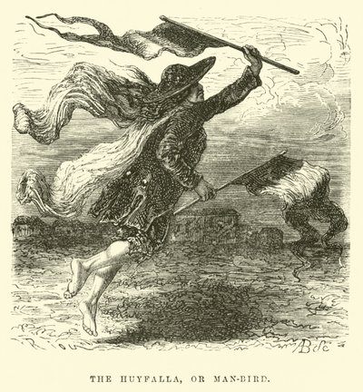Der Huyfalla, oder Menschenvogel von Edouard Riou