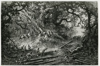 Die Ausbeutung von Mahagoni in den Wäldern der Anden. Gravur von Riou, zur Illustration der Geschichte „Reise nach Yucatan und das Land der Lacandons“, 1882, von Désiré Charnay (1828-1915), Archäologe und Fotograf. Veröffentlicht in der Tour du monde. von Edouard Riou