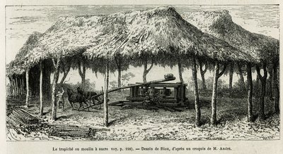 Die Trapiche, oder Zuckermühle zum Mahlen der Zuckerrohre in Panche (Kolumbien), Zeichnung von Riou, zur Illustration der Geschichte von Äquatorialamerika (Kolumbien, Ecuador, Peru), 1875-1876, von Ed. Andre, Reisender im Auftrag der französischen Regierun von Edouard Riou