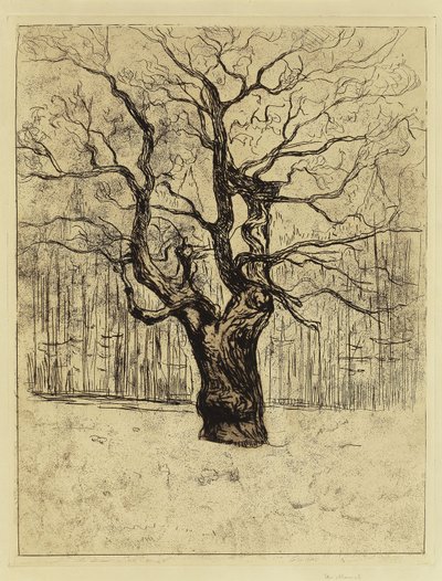 Die Eiche von Edvard Munch