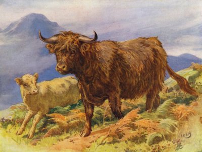 Hochlandkuh und Kalb von Edward Brice Montefiore