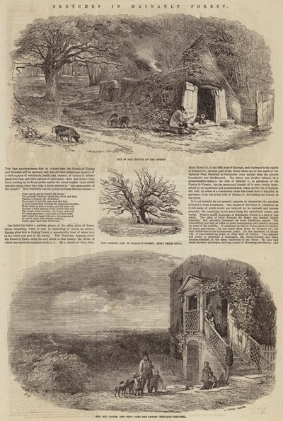 Skizzen im Hainault-Wald von Edward Duncan