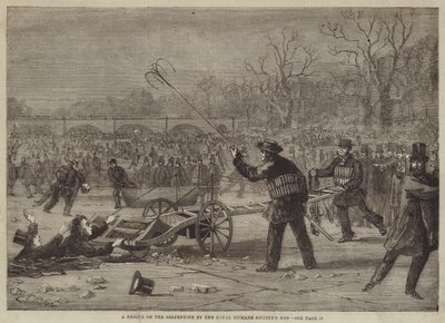 Eine Rettung auf der Serpentine durch die Männer der Royal Humane Society von Edward Hull