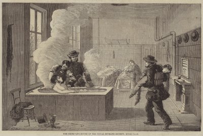 Das Empfangshaus der Royal Humane Society, Hyde Park von Edward Hull