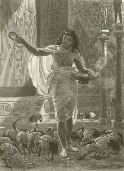 Fütterung des heiligen Ibis in den Hallen von Karnak von Edward John Poynter