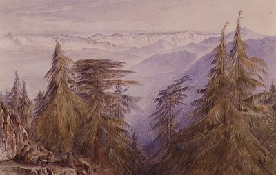 Affen auf einem Felsen in der Nähe von Simla, Nordindien von Edward Lear