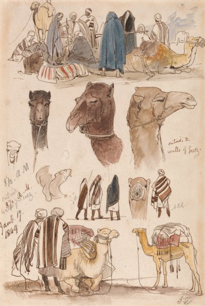 Außerhalb der Mauern von Suez, 17. Januar 1849, 08:30 Uhr von Edward Lear