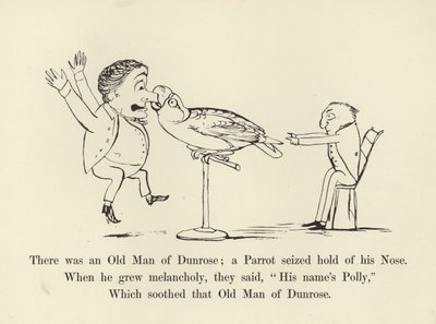 Es war ein alter Mann aus Dunrose; ein Papagei packte seine Nase von Edward Lear