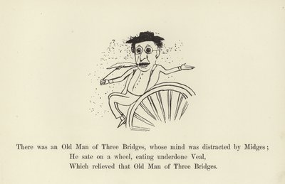 Es war ein alter Mann von Drei Brücken, dessen Geist von Mücken abgelenkt war von Edward Lear
