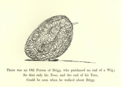 Es war eine alte Person von Brigg, die endlos eine Perücke kaufte von Edward Lear